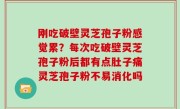 刚吃破壁灵芝孢子粉感觉累？每次吃破壁灵芝孢子粉后都有点肚子痛灵芝孢子粉不易消化吗