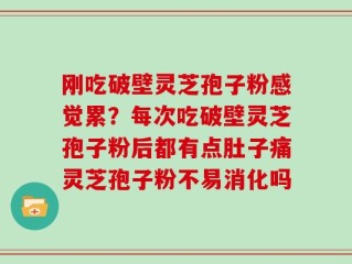 刚吃破壁灵芝孢子粉感觉累？每次吃破壁灵芝孢子粉后都有点肚子痛灵芝孢子粉不易消化吗
