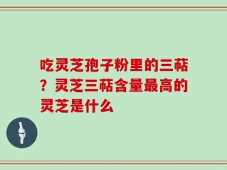 吃灵芝孢子粉里的三萜？灵芝三萜含量最高的灵芝是什么
