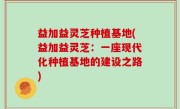益加益灵芝种植基地(益加益灵芝：一座现代化种植基地的建设之路)