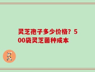 灵芝孢子多少价格？500袋灵芝菌种成本