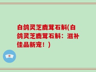 白鸽灵芝鹿茸石斛(白鸽灵芝鹿茸石斛：滋补佳品新宠！)