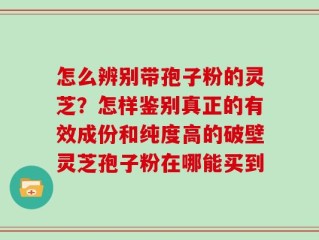 怎么辨别带孢子粉的灵芝？怎样鉴别真正的有效成份和纯度高的破壁灵芝孢子粉在哪能买到