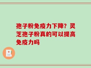 孢子粉免疫力下降？灵芝孢子粉真的可以提高免疫力吗