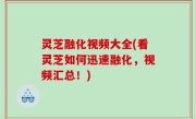 灵芝融化视频大全(看灵芝如何迅速融化，视频汇总！)