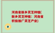 河南省新乡灵芝种植(新乡灵芝种植：河南省积极推广灵芝产业)