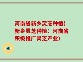 河南省新乡灵芝种植(新乡灵芝种植：河南省积极推广灵芝产业)
