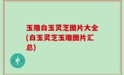 玉雕白玉灵芝图片大全(白玉灵芝玉雕图片汇总)