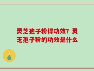 灵芝孢子粉得功效？灵芝孢子粉的功效是什么