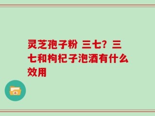 灵芝孢子粉 三七？三七和枸杞子泡酒有什么效用