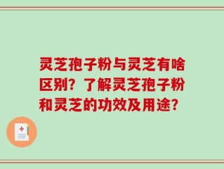 灵芝孢子粉与灵芝有啥区别？了解灵芝孢子粉和灵芝的功效及用途？