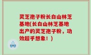 灵芝孢子粉长白山林芝基地(长白山林芝基地出产的灵芝孢子粉，功效超乎想象！)