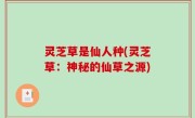 灵芝草是仙人种(灵芝草：神秘的仙草之源)