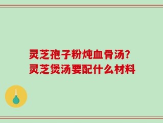 灵芝孢子粉炖血骨汤？灵芝煲汤要配什么材料