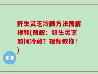 野生灵芝冷藏方法图解视频(图解：野生灵芝如何冷藏？视频教你！)