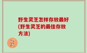 野生灵芝怎样存放最好(野生灵芝的最佳存放方法)