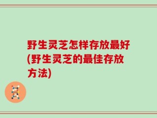野生灵芝怎样存放最好(野生灵芝的最佳存放方法)