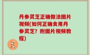 丹参灵芝正确做法图片视频(如何正确食用丹参灵芝？附图片视频教程)