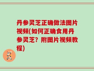 丹参灵芝正确做法图片视频(如何正确食用丹参灵芝？附图片视频教程)