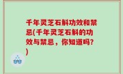 千年灵芝石斛功效和禁忌(千年灵芝石斛的功效与禁忌，你知道吗？)