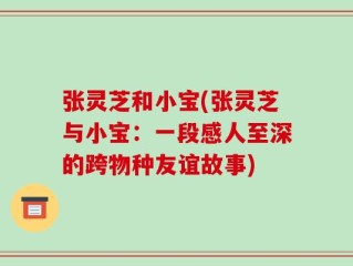 张灵芝和小宝(张灵芝与小宝：一段感人至深的跨物种友谊故事)