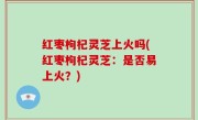 红枣枸杞灵芝上火吗(红枣枸杞灵芝：是否易上火？)