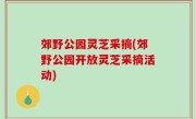 郊野公园灵芝采摘(郊野公园开放灵芝采摘活动)