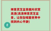 禅意灵芝盆景图片欣赏高清(高清禅意灵芝盆景，让你在喧嚣世界中找到内心平静)