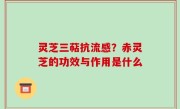 灵芝三萜抗流感？赤灵芝的功效与作用是什么