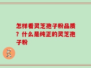 怎样看灵芝孢子粉品质？什么是纯正的灵芝孢子粉