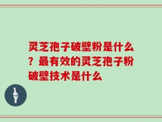 灵芝孢子破壁粉是什么？最有效的灵芝孢子粉破壁技术是什么