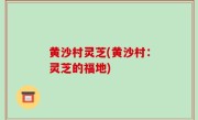黄沙村灵芝(黄沙村：灵芝的福地)