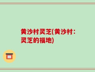 黄沙村灵芝(黄沙村：灵芝的福地)