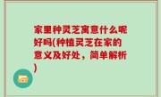 家里种灵芝寓意什么呢好吗(种植灵芝在家的意义及好处，简单解析)