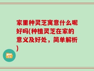 家里种灵芝寓意什么呢好吗(种植灵芝在家的意义及好处，简单解析)