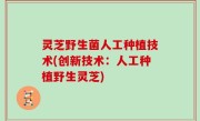 灵芝野生菌人工种植技术(创新技术：人工种植野生灵芝)