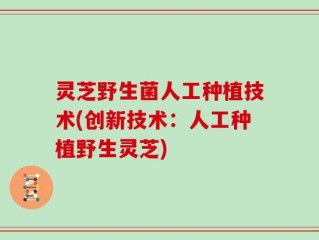 灵芝野生菌人工种植技术(创新技术：人工种植野生灵芝)