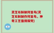 灵芝石斛制何首鸟(灵芝石斛制作何首鸟，神奇工艺值得探究)