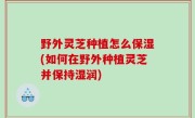 野外灵芝种植怎么保湿(如何在野外种植灵芝并保持湿润)
