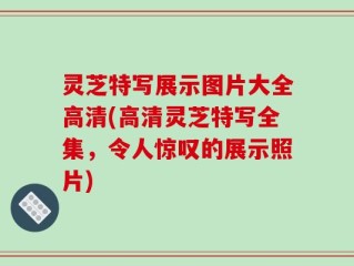 灵芝特写展示图片大全高清(高清灵芝特写全集，令人惊叹的展示照片)