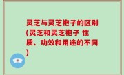 灵芝与灵芝袍子的区别(灵芝和灵芝袍子 性质、功效和用途的不同)