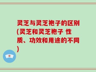 灵芝与灵芝袍子的区别(灵芝和灵芝袍子 性质、功效和用途的不同)