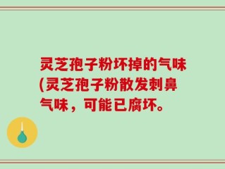 灵芝孢子粉坏掉的气味(灵芝孢子粉散发刺鼻气味，可能已腐坏。