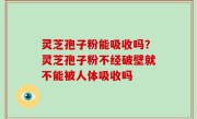 灵芝孢子粉能吸收吗？灵芝孢子粉不经破壁就不能被人体吸收吗