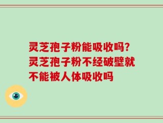 灵芝孢子粉能吸收吗？灵芝孢子粉不经破壁就不能被人体吸收吗
