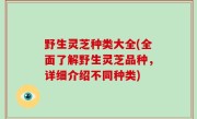 野生灵芝种类大全(全面了解野生灵芝品种，详细介绍不同种类)