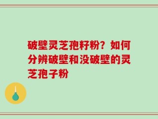 破壁灵芝孢籽粉？如何分辨破壁和没破壁的灵芝孢子粉