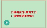 门缝出灵芝(神奇之门：探索灵芝的传说)
