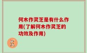 何木作灵芝是有什么作用(了解何木作灵芝的功效及作用)