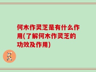 何木作灵芝是有什么作用(了解何木作灵芝的功效及作用)